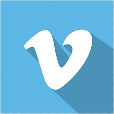 V Logo Partner